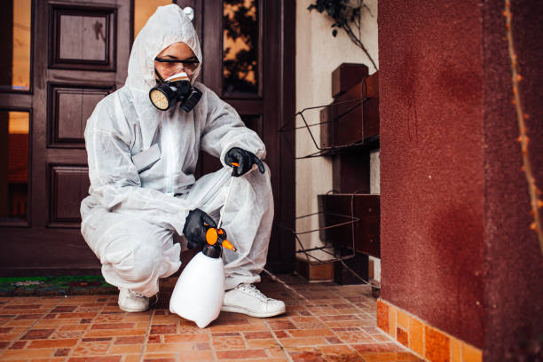 Reliable Wasp Removal contractor in South Laurel, MD by Show Me Pest Control