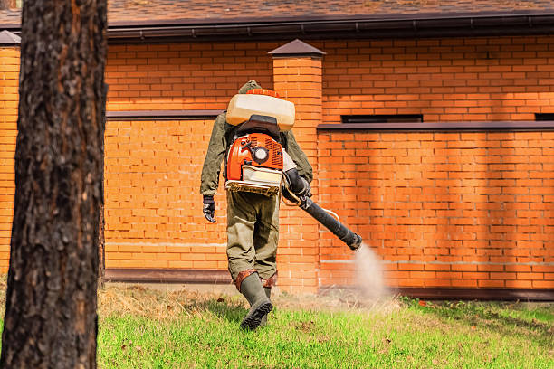 Top rated local Wasp Removal specialists in South Laurel, MD